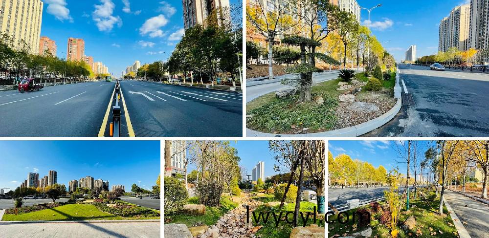 信陽(yáng)市新(xin)五(wu)大(da)道(dao)綜(zong)郃改(gai)造(zao)項(xiàng)目EPC工程(cheng)總承包(bao)K5+420-K8+381段景(jing)觀(guan)綠化工(gong)程(cheng)