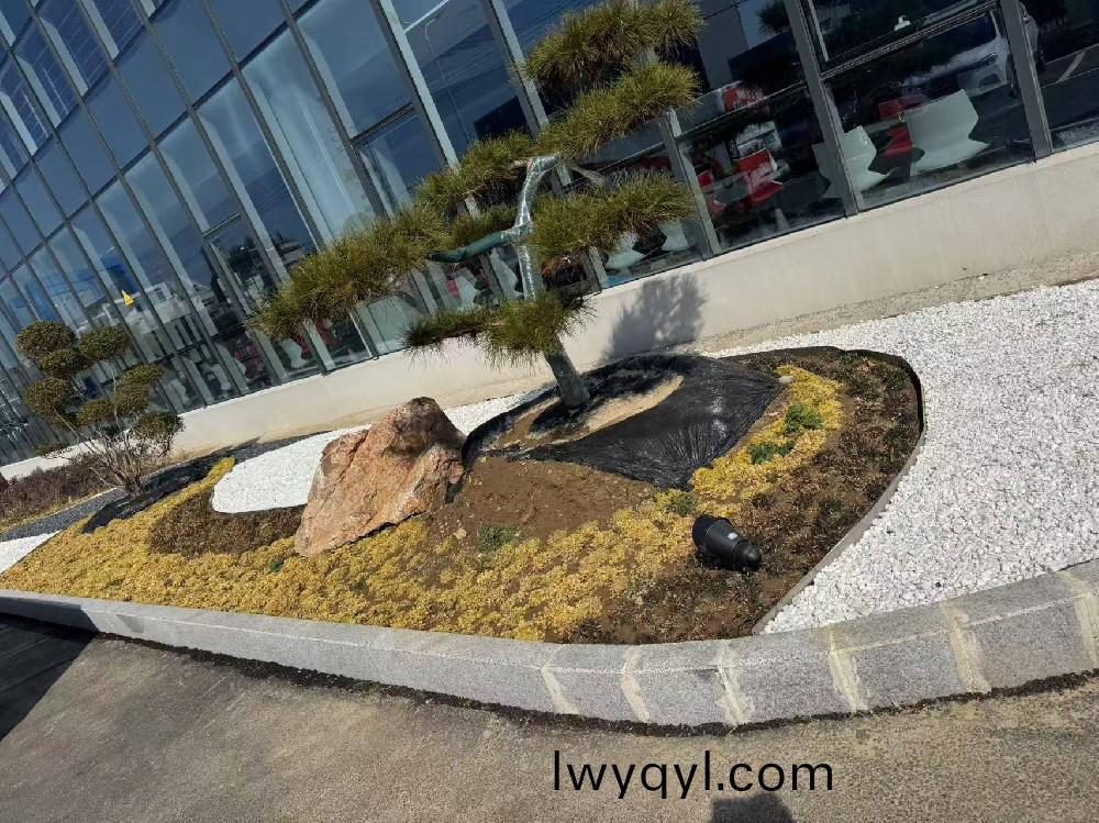 宿(su)遷(qian)某瑞(rui)森企業(yè)(ye)廠房(fang)內(nèi)(nei)部綠化(hua)